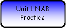 Rounded Rectangle: Unit 1 NAB Practice