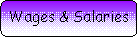 Rounded Rectangle: Wages & Salaries
