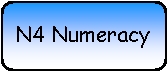 Rounded Rectangle: N4 Numeracy