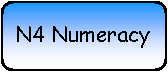 Rounded Rectangle: N4 Numeracy
